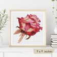 Red Rose Cross Stitch Kit Sale