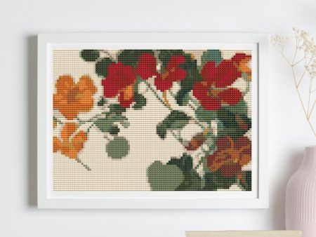 Nasturtium Mini Cross Stitch Kit Sale