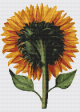 Sunflower Seen from the Back Cross Stitch Kit Fashion