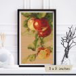 Apples Mini Cross Stitch Kit Supply