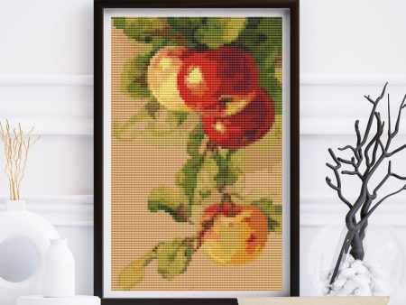 Apples Mini Cross Stitch Kit Supply