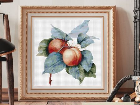 Apricots Cross Stitch Kit For Discount