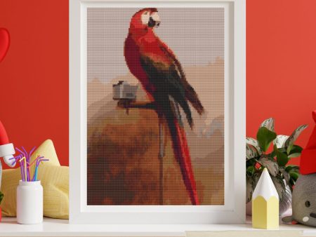 Study of a Parrot Cross Stitch Kit Hot on Sale