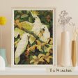 Sulphur Crested Cockatoos Cross Stitch Kit Online