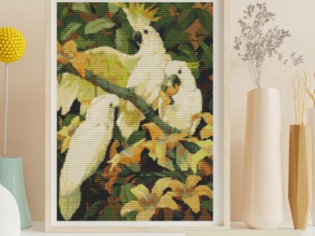 Sulphur Crested Cockatoos Cross Stitch Kit Online