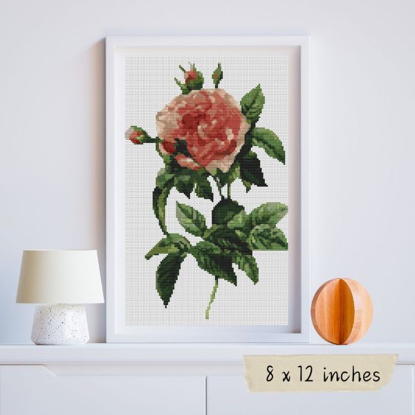 Rosa Gallica Regalis Cross Stitch Kit Supply