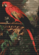 A Scarlet Macaw in a Landscape Cross Stitch Kit on Sale