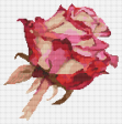 Red Rose Cross Stitch Kit Sale