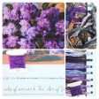 Lilacs in a Vase Cross Stitch Kit Hot on Sale