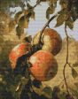 Apples Cross Stitch Pattern Cheap