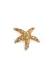 Crystal Dipped Starfish Barrette Online now