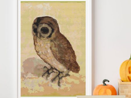 The Brown Owl Cross Stitch Kit Online Sale