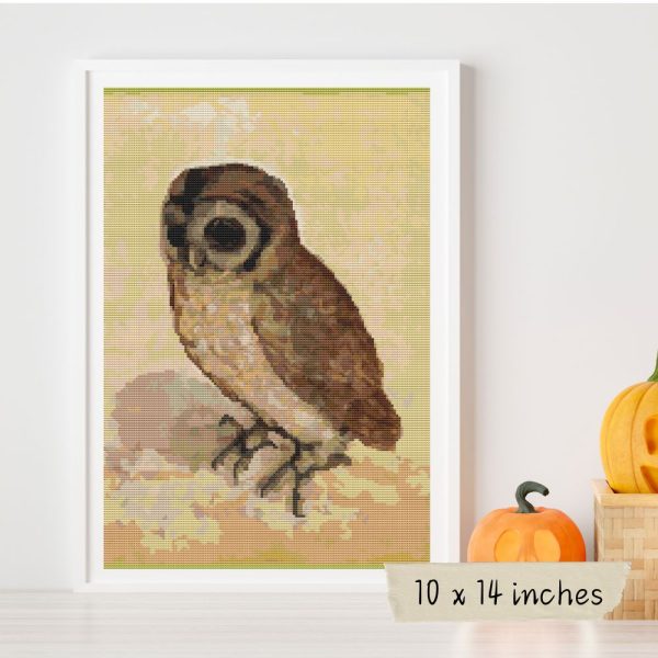 The Brown Owl Cross Stitch Kit Online Sale