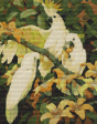 Sulphur Crested Cockatoos Cross Stitch Kit Online