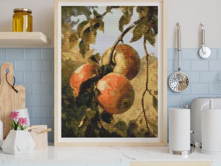 Apples Cross Stitch Kit Online