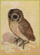 The Brown Owl Cross Stitch Kit Online Sale