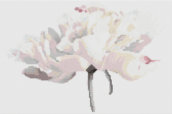 White Tulips Cross Stitch Kit Online