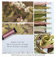 Hummingbird And Apple Blossoms Cross Stitch Kit Fashion