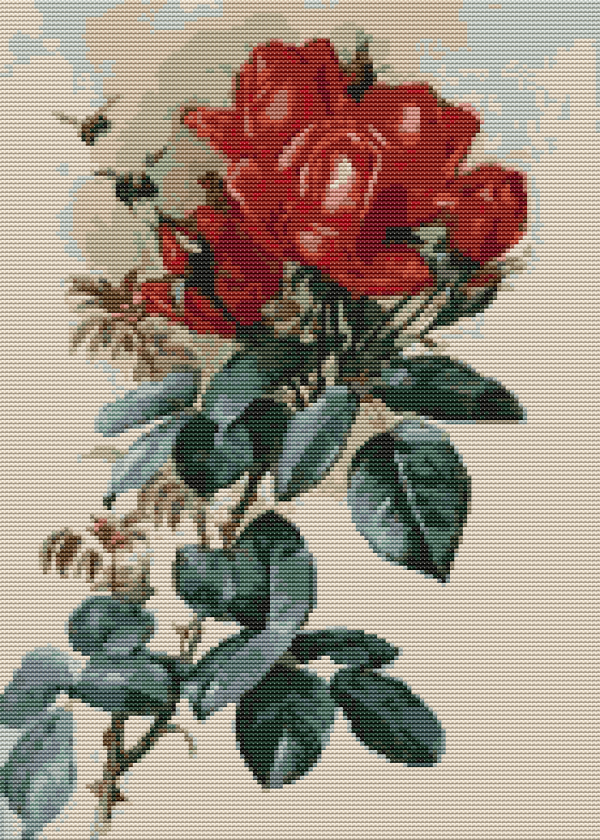 Papa Gontier Roses Cross Stitch Kit Online now